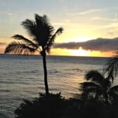 Palm tree picture of sunset with caption 9 Things you MUST See in Maui