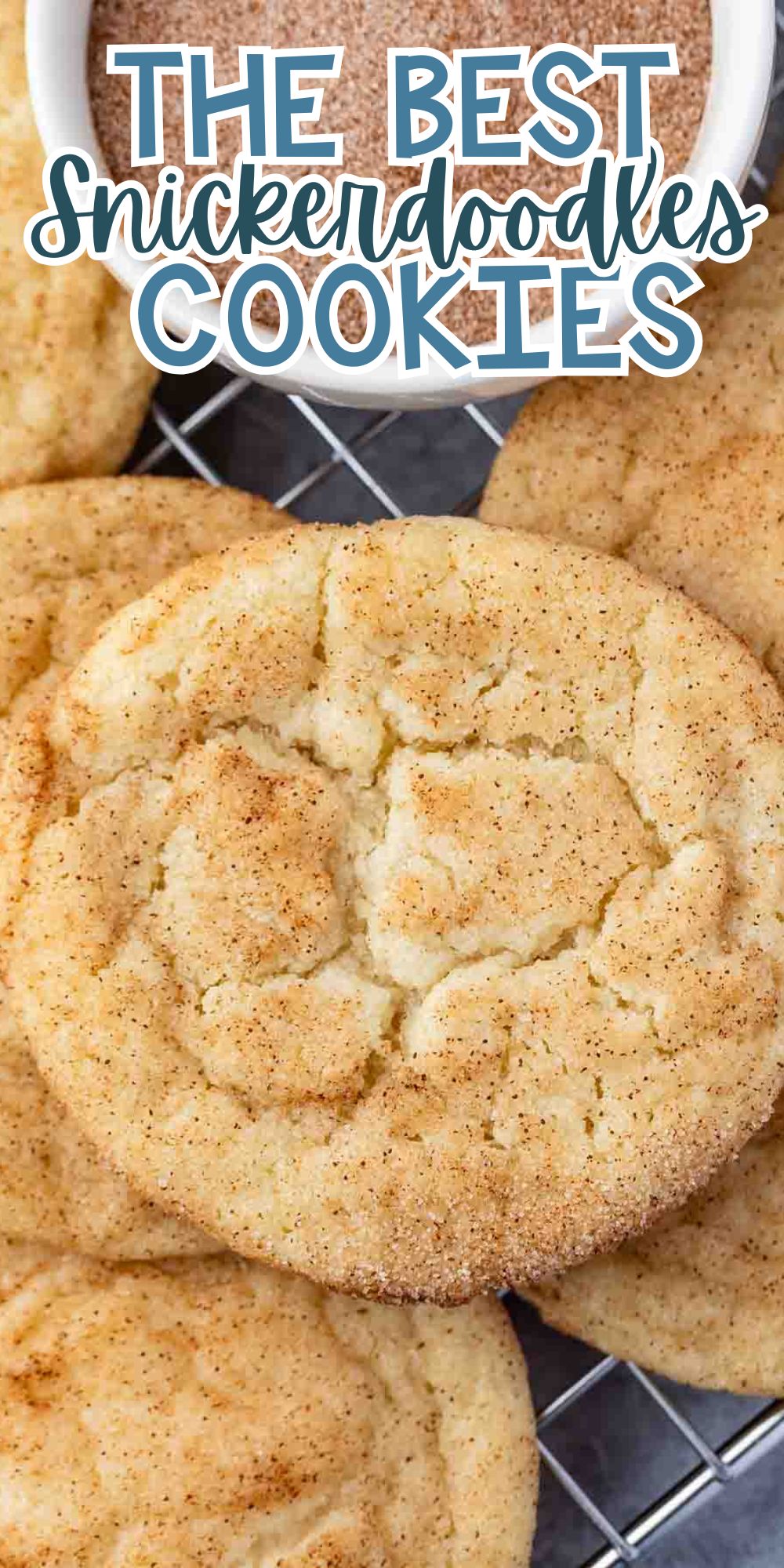 A close-up of several snickerdoodle cookies topped with cinnamon sugar, with the text “THE BEST Snickerdoodles COOKIES” written in large blue and white letters at the top.